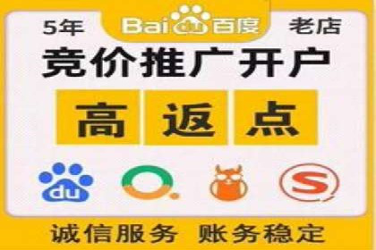竞价广告与自然搜索的结合策略：XX网站的案例分析